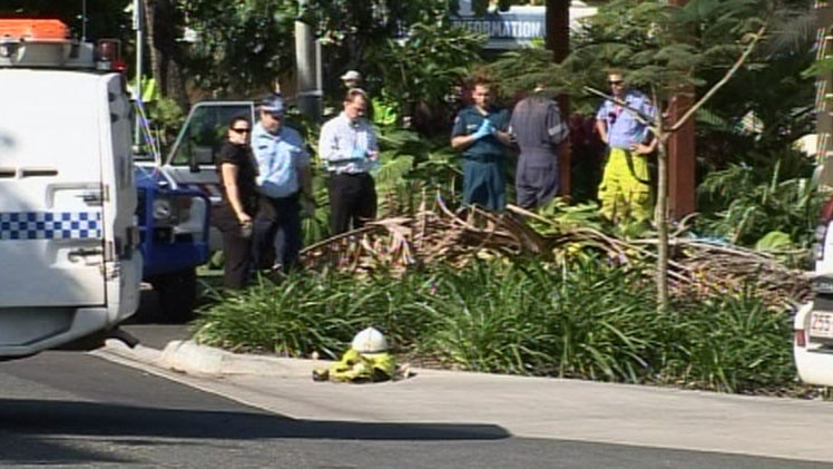 A four-year-old boy died when a palm tree fell on him in Port Douglas.