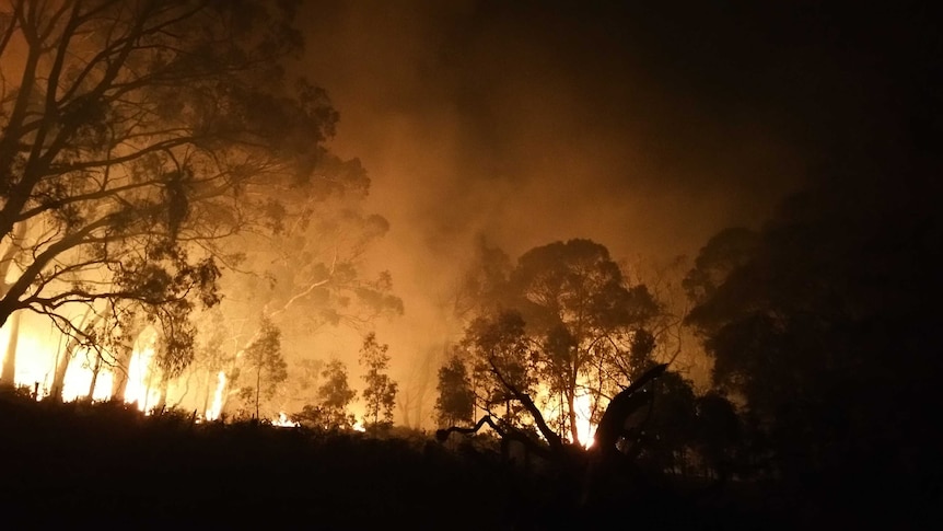 A controlled burn was fanned by hot, windy conditions and threatened homes