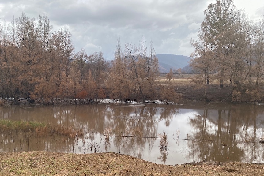 Flood waters spread over burnt farmland.