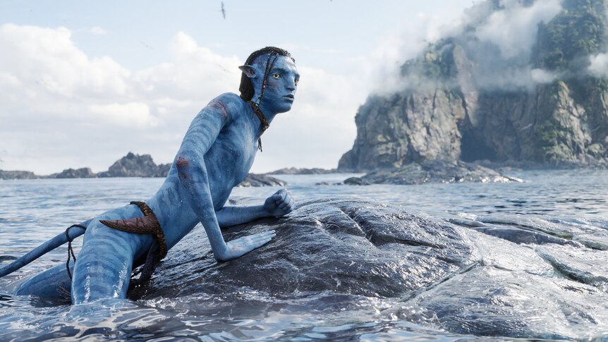 I rewatched James Cameron's Avatar so you don't have to  ScreenHub  Australia - Film & Television Jobs, News, Reviews & Screen Industry Data