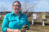 A fair-skinned woman, Renee, in black glasses and turquoise shirt holds a bunch of green asparagus in front of bee hives.
