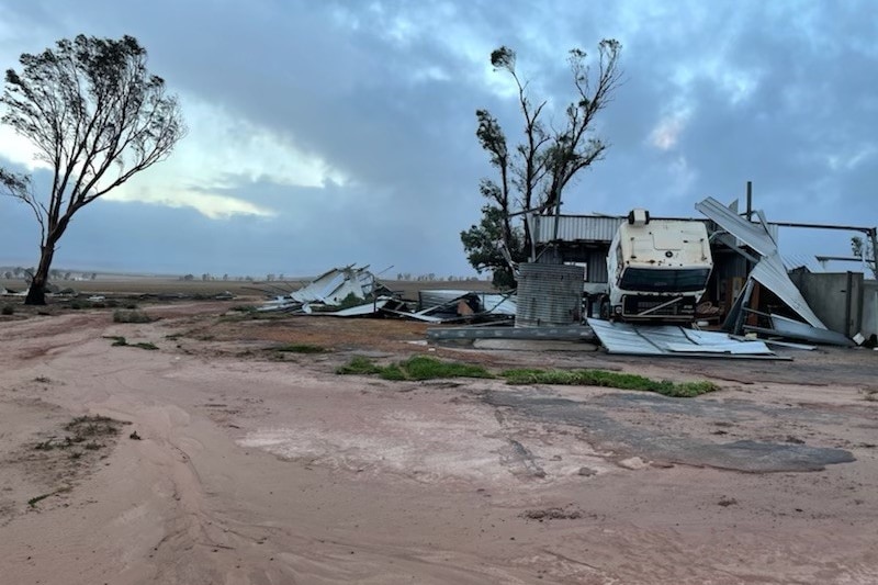 Rod Messina's farm in Mullewa