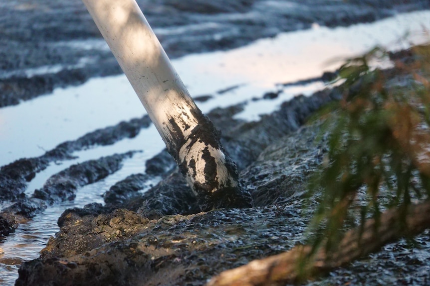 close up of pvc pipe sticking into black mud 