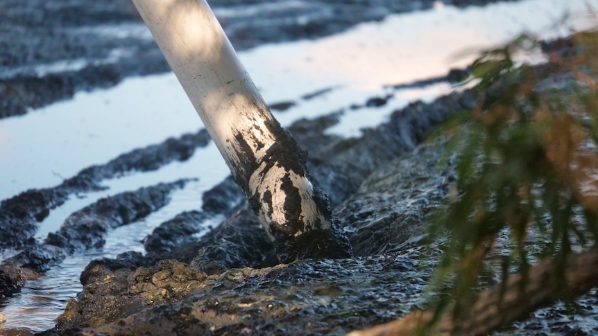 close up of pvc pipe sticking into black mud 