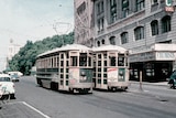 Old photo of two trams in Hobart.