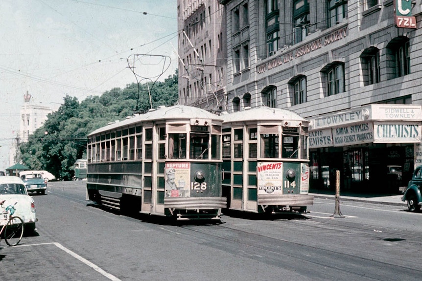 Old photo of two trams in Hobart.