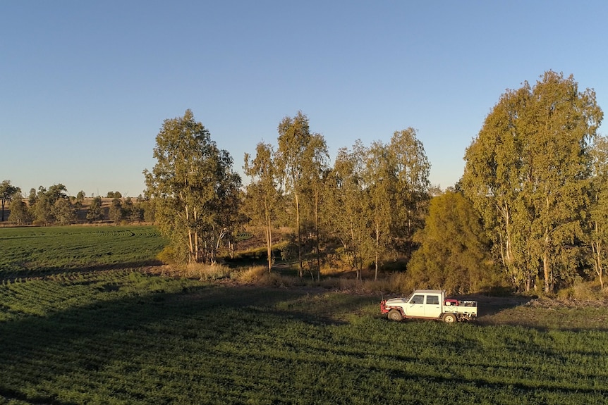A white ute is parked on a green farmland, with lush grass and trees, in front of a blue sky.