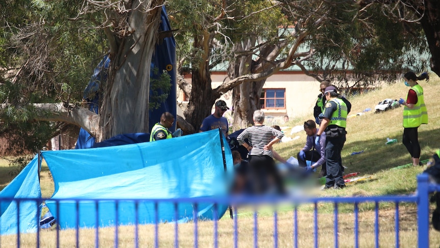 Blue tarpaulin shield at Hillcrest Primary