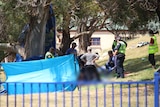 Blue tarpaulin shield at Hillcrest Primary