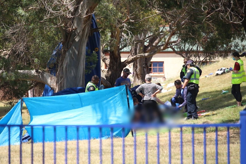 Blue tarpaulin shield at Hillcrest Primary