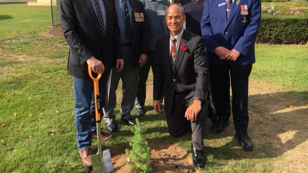 Lone Pine tree planting at Longford