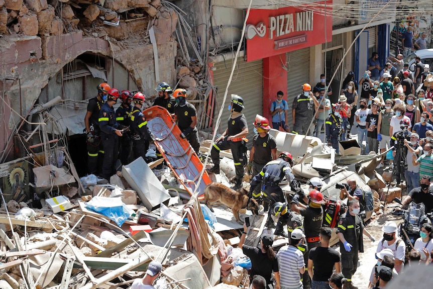 French and Lebanese firemen aided by a sniffer dog search in the rubble of a building as crowds watch.