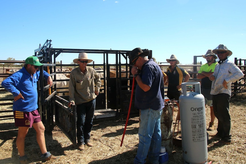 Six men stand next to cattle yards talking to one another