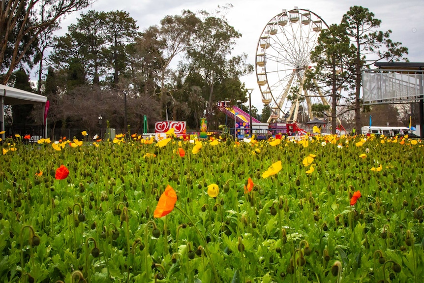 Floriade 2019