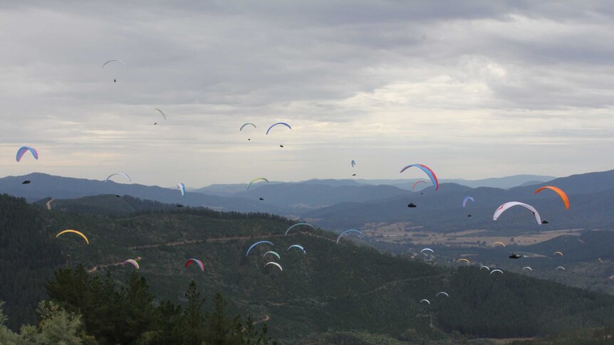 Many paragliders in the sky in alpine country.