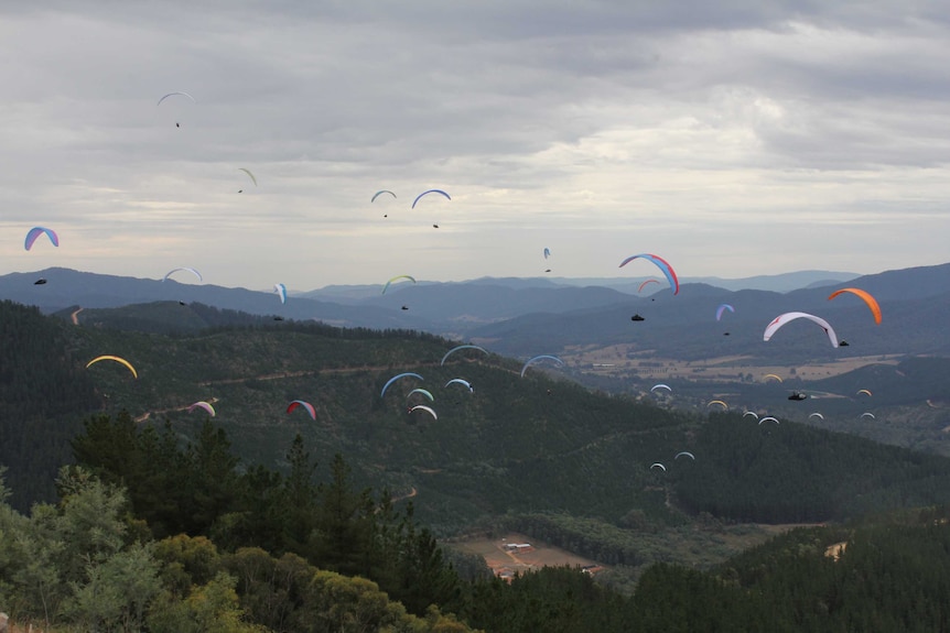 Many paragliders in the sky in alpine country.