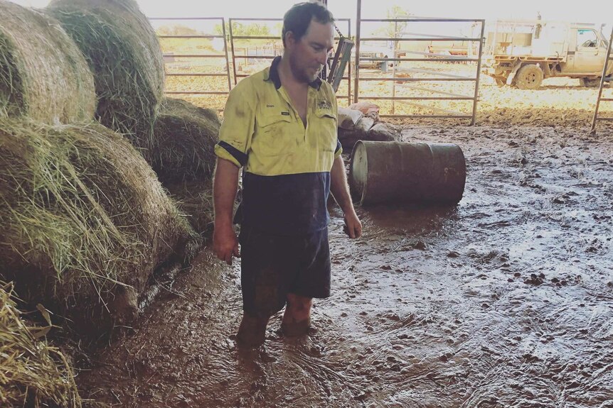Ross Oakhill moving hay in mud