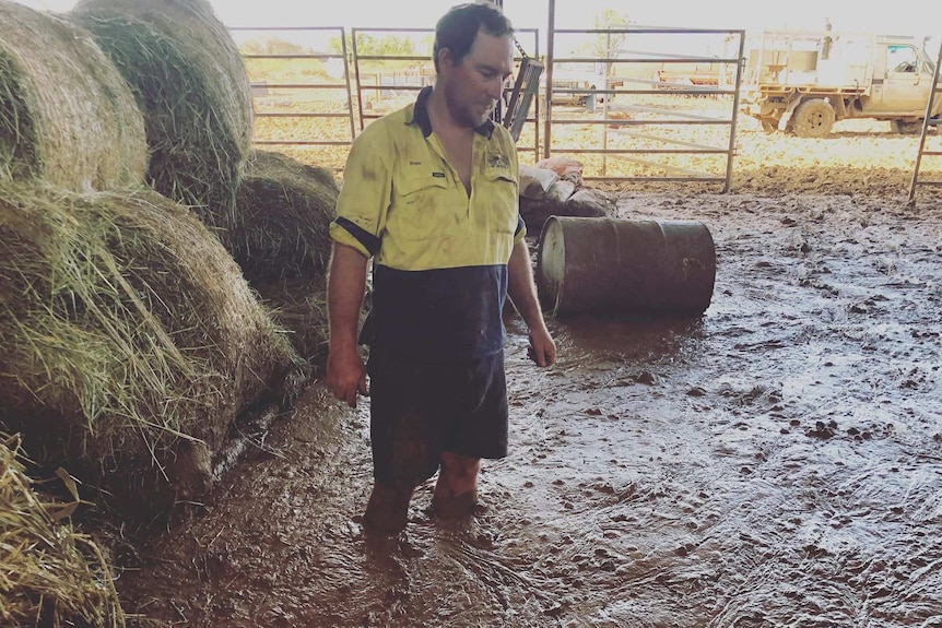 Ross Oakhill moving hay in mud