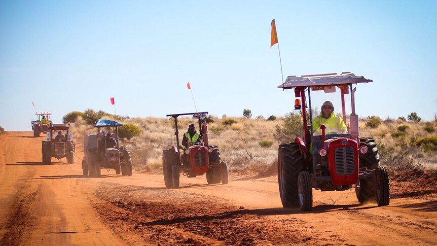 A convoy of vintage tractors on a dirt road.