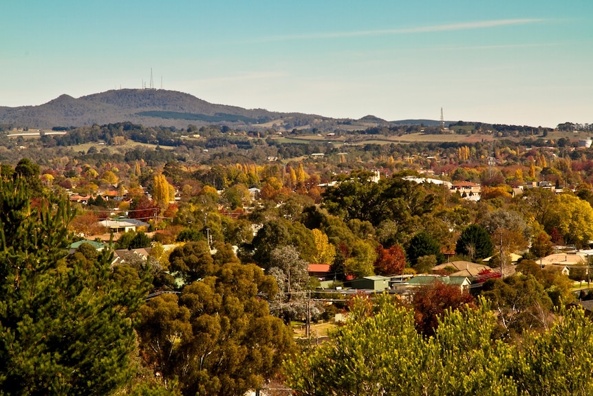 A shot over Orange showing autumnal trees, a beautiful environment for a tree change in regional Australia.