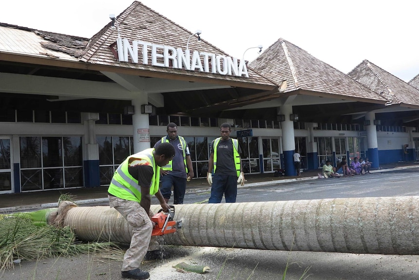 Tree down outside airport