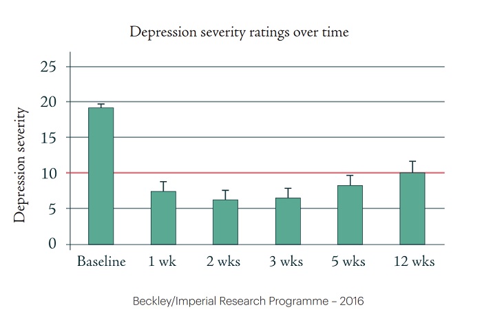 A graph from the Beckley/Imperial Research Programme shows the depression severity ratings over time.
