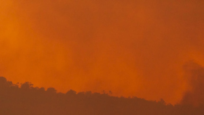 Out of control: a fierce fire in Perth's north-eastern suburbs