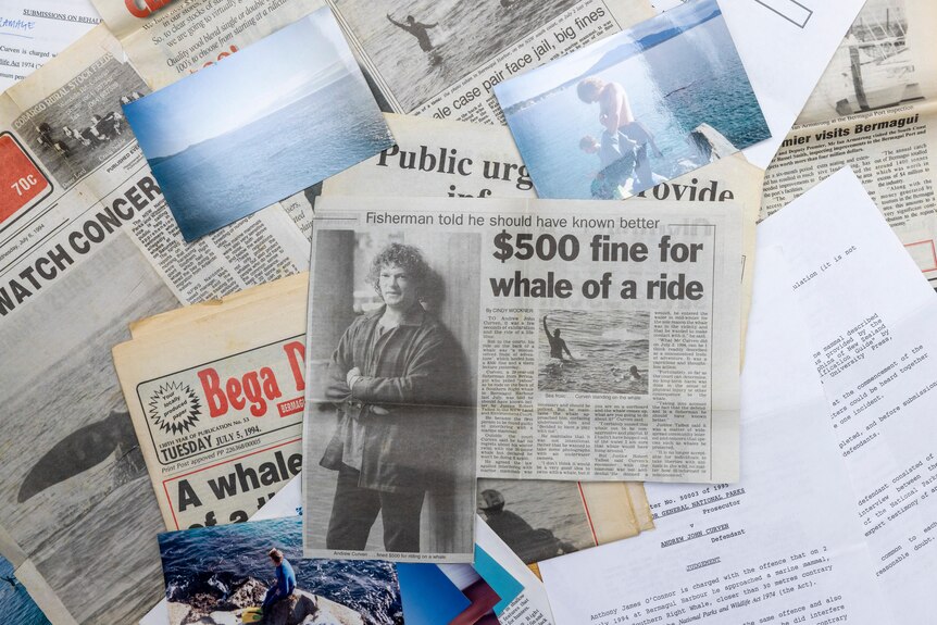 An image of newspaper clippings and court documents of the whale rider test case sprawled across a table.