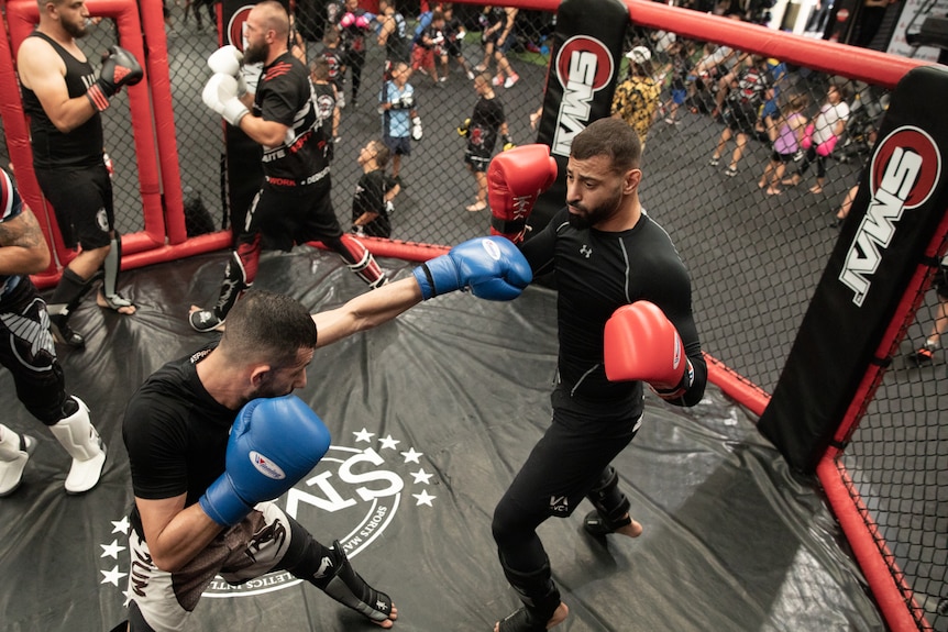 Two men practice mixed martial arts in a cage.