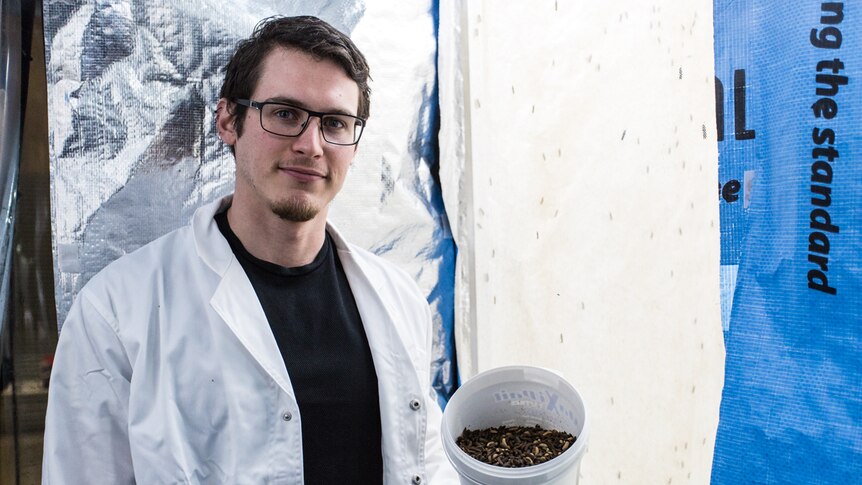 Martin Pike, 29-year-old CSO of Karma holding a container filled with Black Soldier Fly larvae.