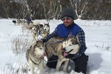 A man with some huskies.