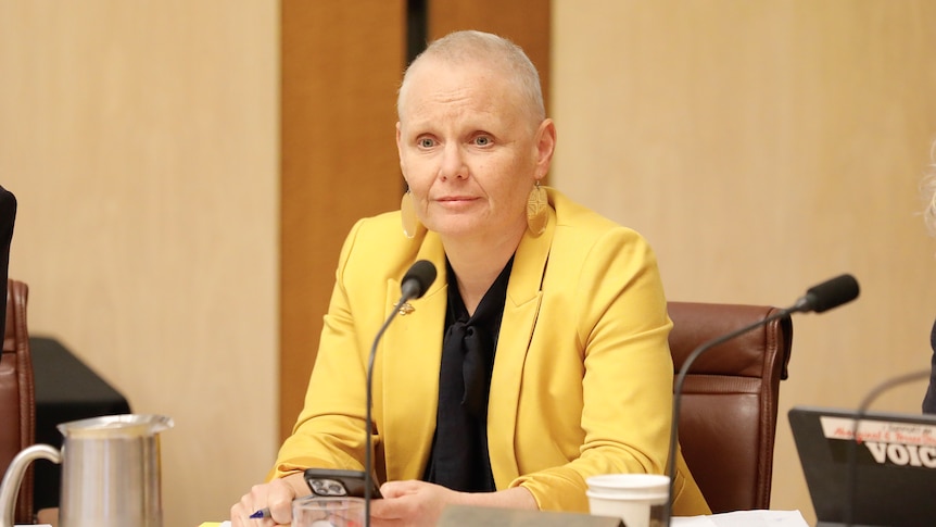 Peta Murphy sits in a committee room inside Parliament House