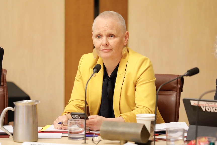 Peta Murphy sits in a committee room inside Parliament House