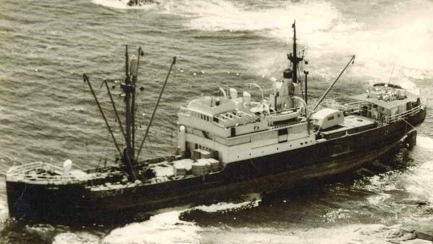Australie-Méridionale WWII naufrage du cargo Yandra visité par le plongeur Steve Saville