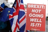 Protest signs that read 'Brexit: Not going very well, is it!' stand beside a road with British flags