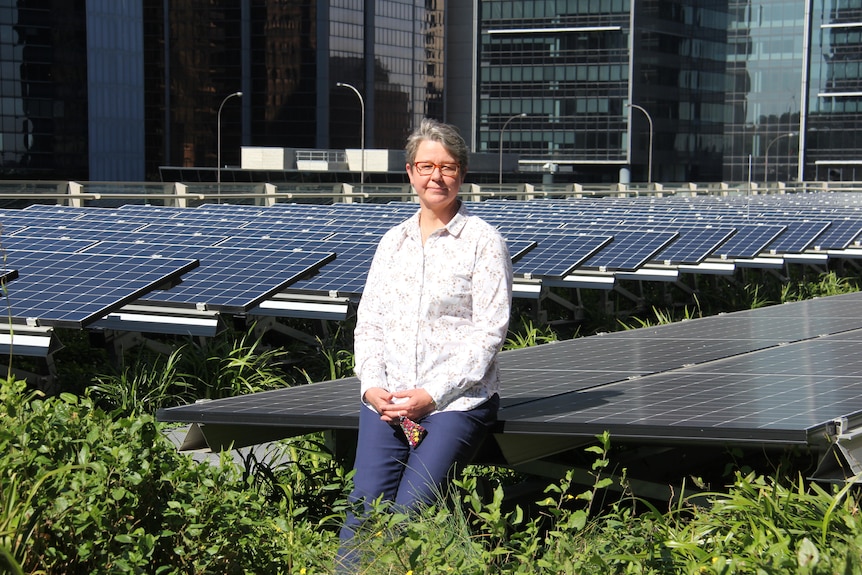 A woman sits on the edge of a bank of solar panels with plants growing at her feet.