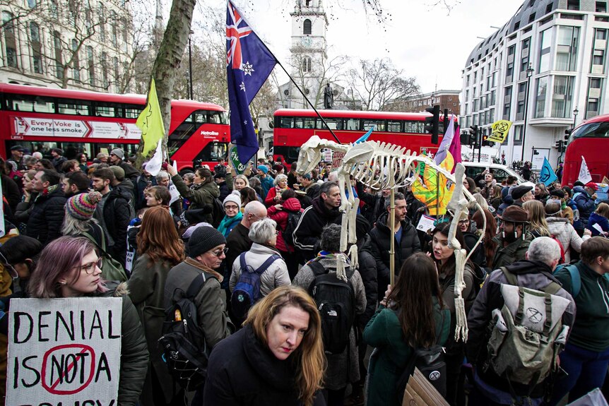 Protesters in London hold signs and flags and an animal skeleton.