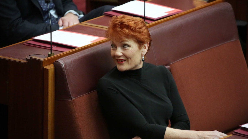 Senator Pauline Hanson looks over her shoulder in the Senate