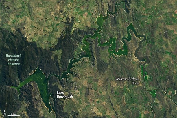 A satellite image of Burrinjuck Dam and the Murrumbidgee showing the spread of green over a large distance.
