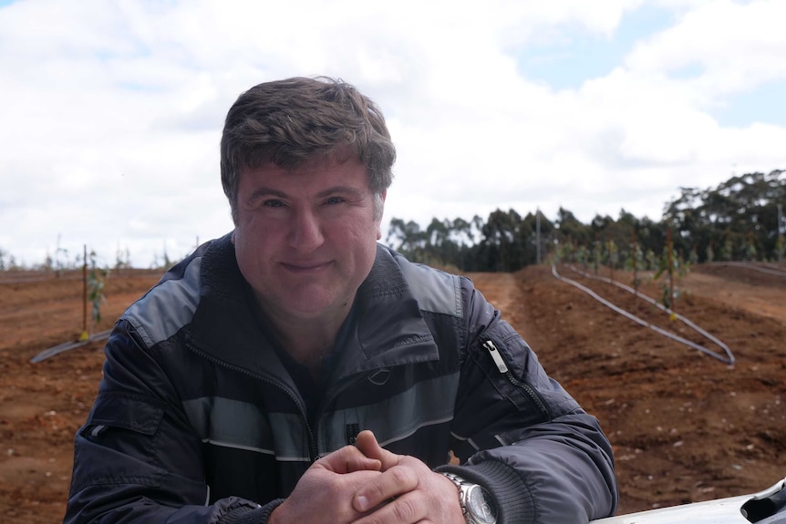 A middle aged man stands in a field with apple trees in lines behind him.