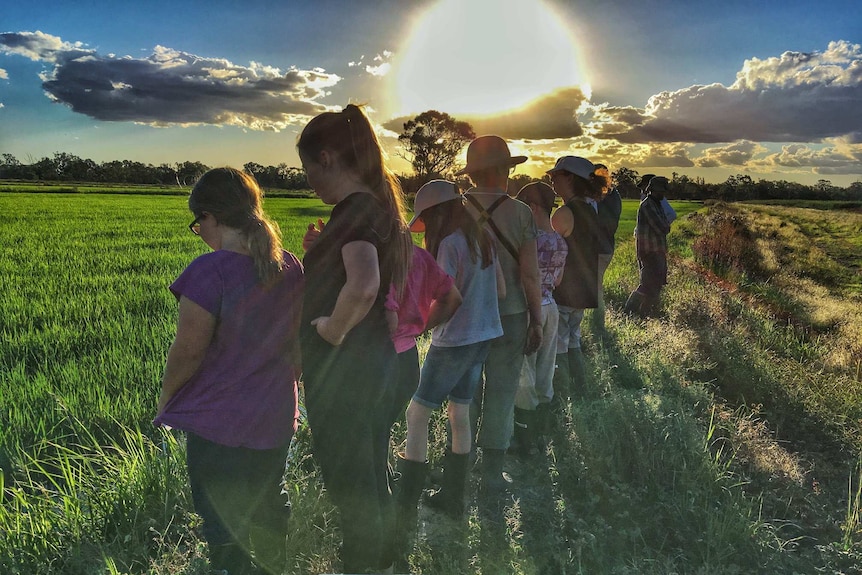 People standing in a rice field