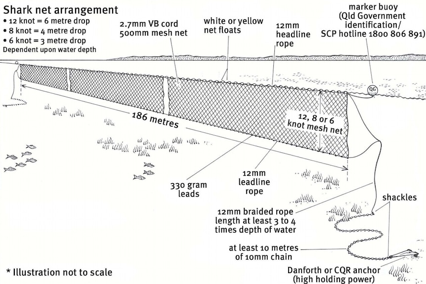 Shark net diagram