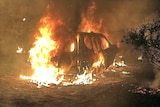 A car is engulfed in flames in the bush.