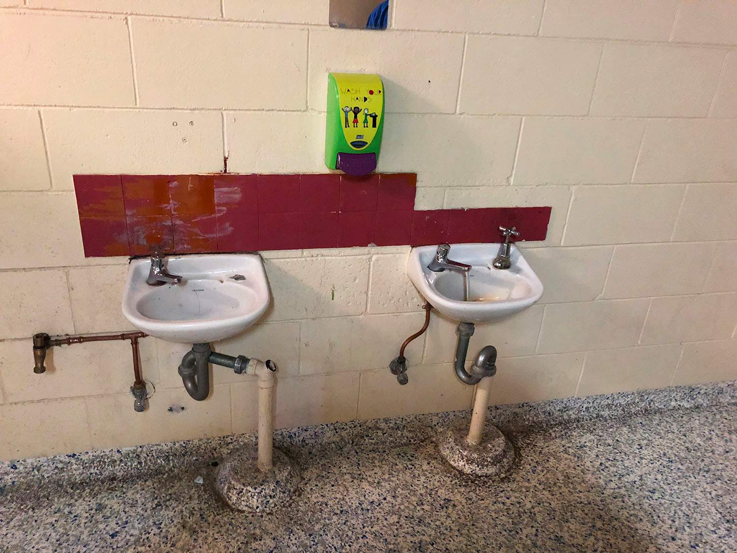 'Disgusting' primary school toilets so bad children 'hold on' all day
