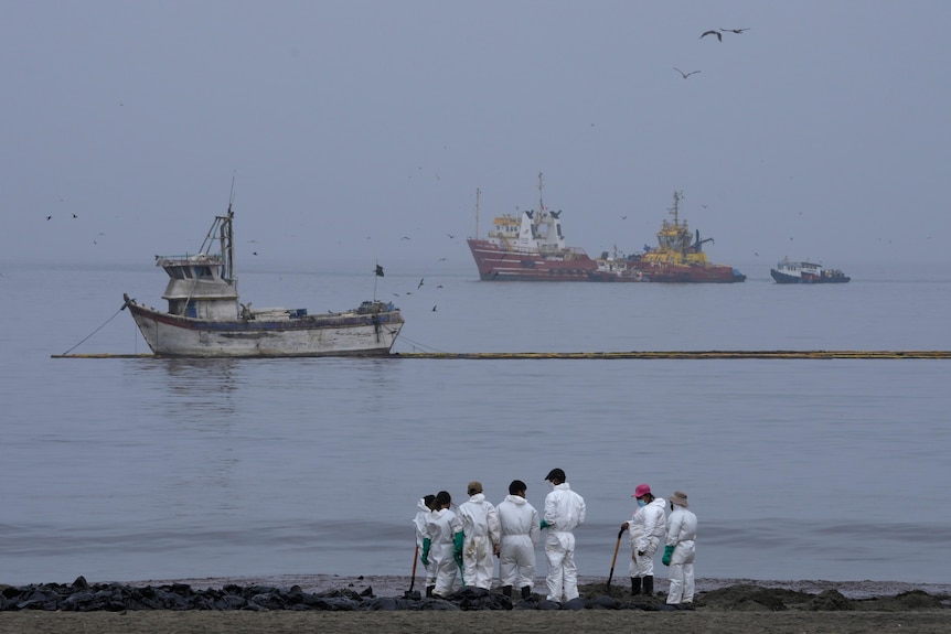 Workers, dressed in protective suits, clean oil contaminating a beach as ships are seen in the distance.