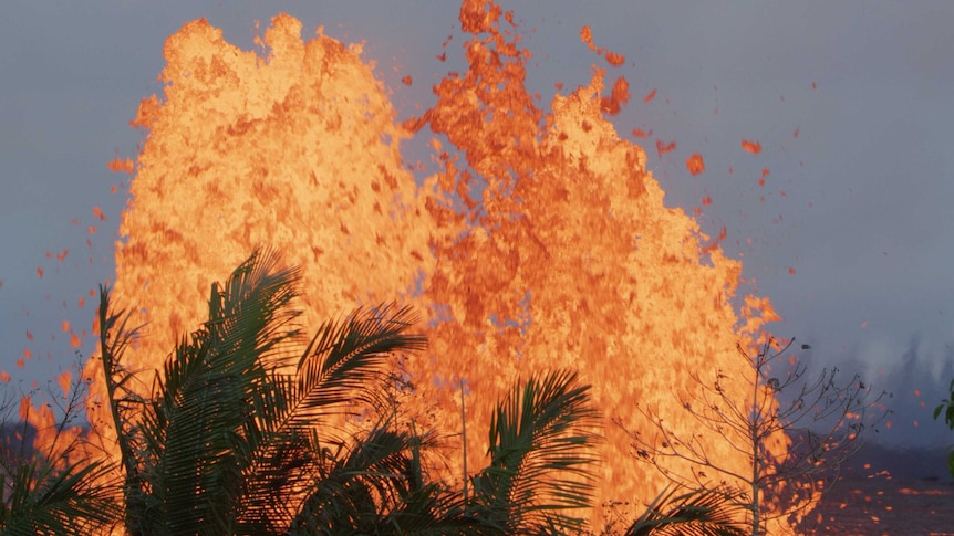 Bright orange lava explodes from a volcanic fissure vent in front of palm leaves.