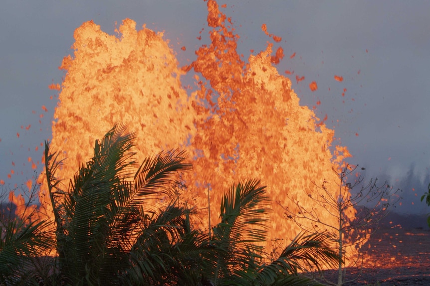 Bright orange lava explodes from a volcanic fissure vent in front of palm leaves.