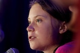 Swedish climate activist Greta Thunberg speaks with other child petitioners from twelve countries around the world.