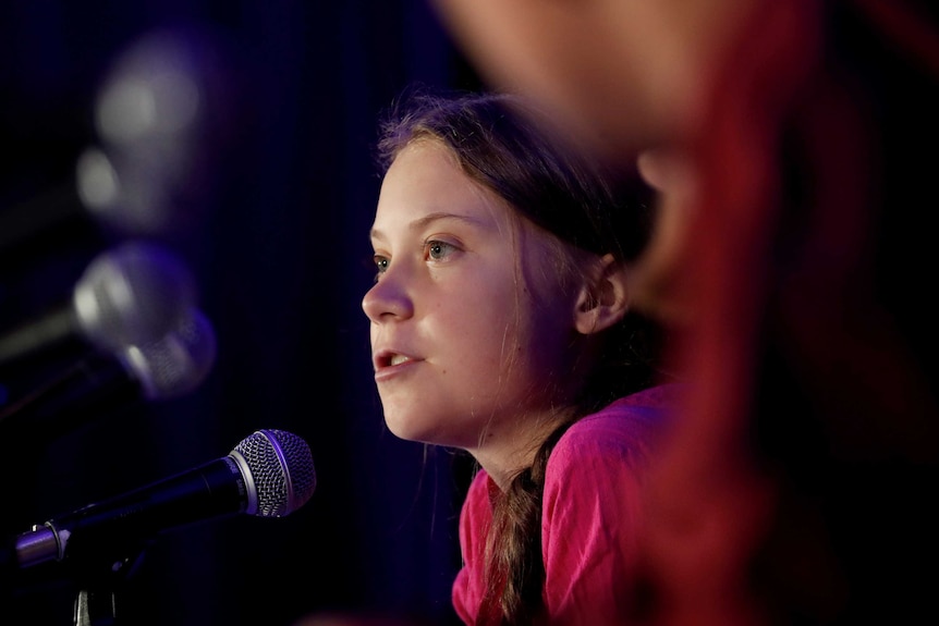 Swedish climate activist Greta Thunberg speaks with other child petitioners from twelve countries around the world.