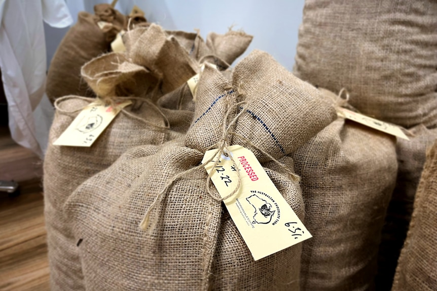 Hessian bags sit closed with coffee in them
